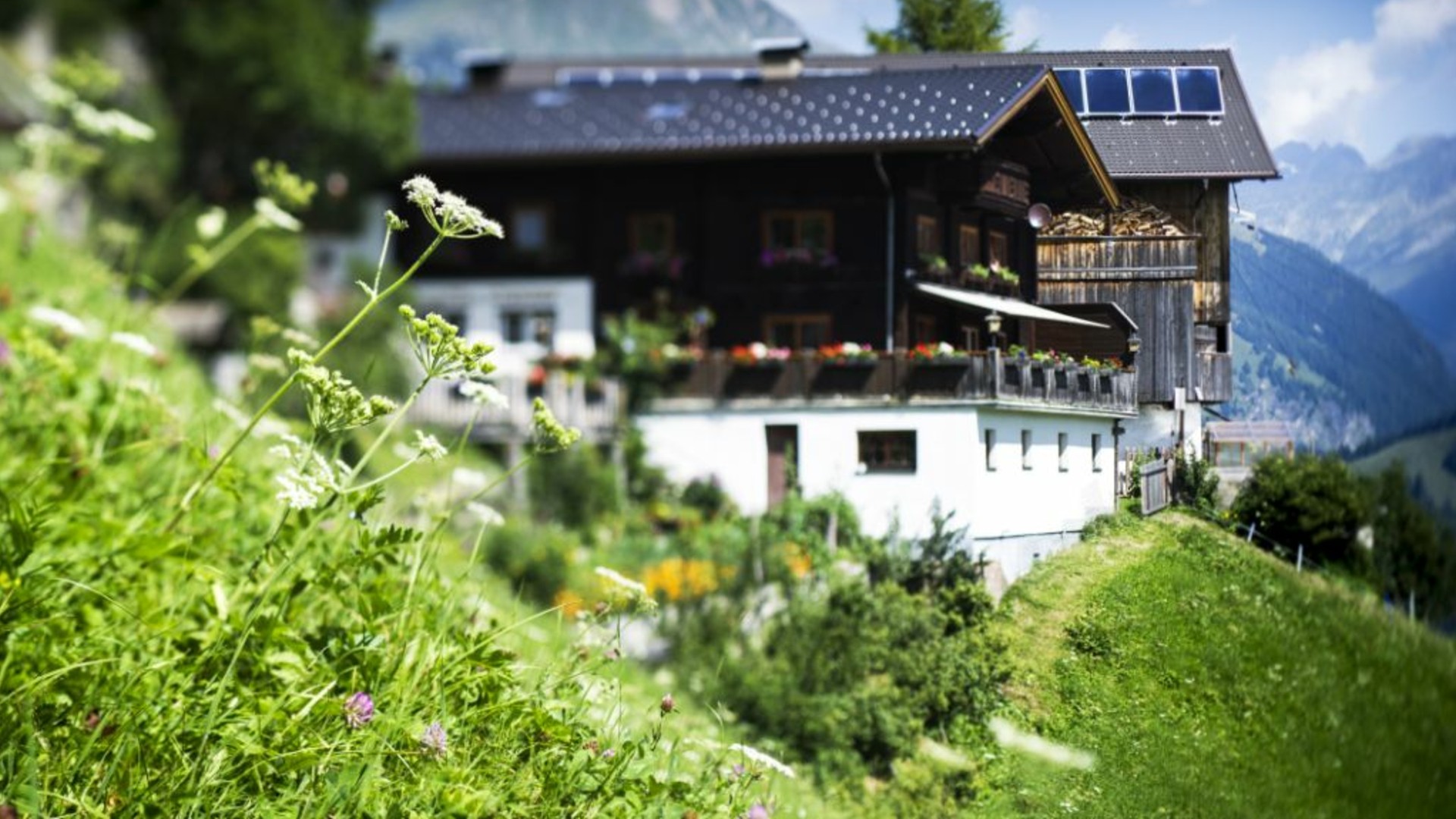 Der Strumerhof in Matrei