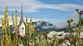 Kräuter-Kraftplatz der Alpinen Küche