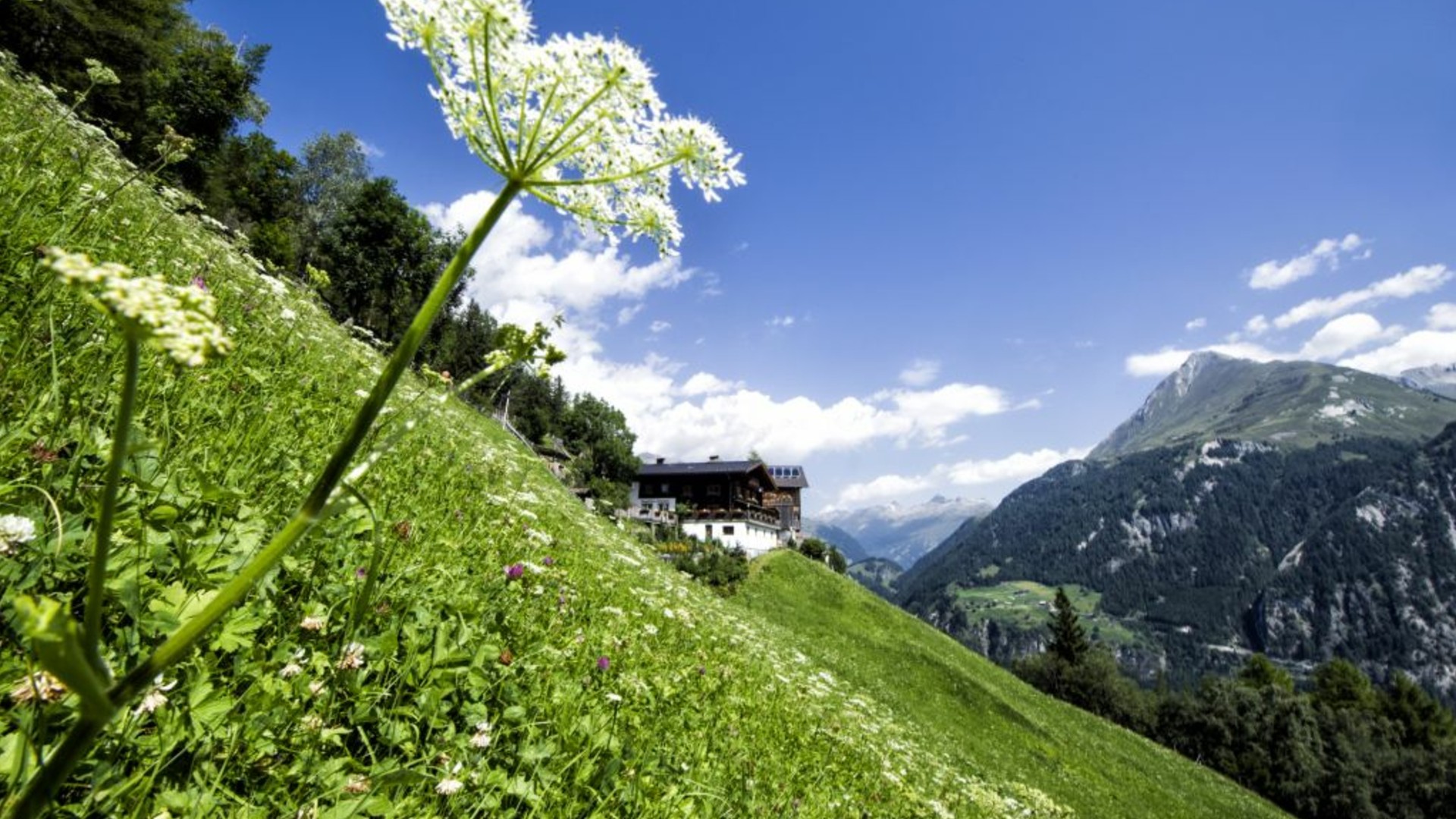 Idylle pur am Strumerhof in Osttirol | © Strumerhof Idylle pur am Strumerhof in Osttirol